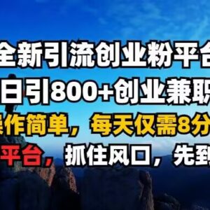 低门槛创业兼职粉引流平台操作方法 单日可引800+精准粉-雨叶虚拟资源网