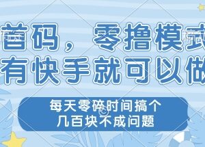 有快手账号即可参与的零撸项目 无需复杂操作空闲时间赚收益-雨叶虚拟资源网