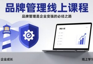品牌管理专业线上课程 企业品牌搭建全流程学习指南-雨叶虚拟资源网