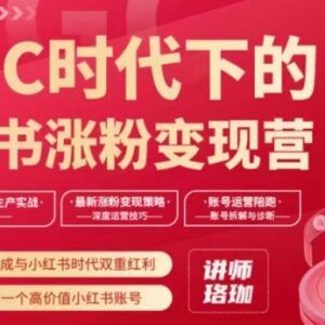 AIGC时代小红书涨粉变现训练营 从0到1打造高价值盈利账号-雨叶虚拟资源网