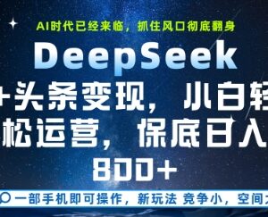 2025年DeepSeek+今日头条变现保姆级教程 小白可轻松上手-雨叶虚拟资源网
