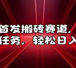 2024发任务类搬砖赛道实操教程 低门槛副业赚钱方法详解-雨叶虚拟资源网
