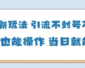 合规国学类引流玩法详解 小白易上手不封号当日即可变现-雨叶虚拟资源网