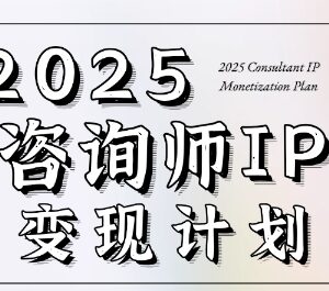 2025咨询师IP变现训练营 7天搭建可落地专属变现系统-雨叶虚拟资源网