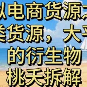 虚拟电商另类货源盘点:大平台衍生流量及实体类货源解析-雨叶虚拟资源网