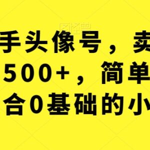 快手头像号卖潮牌玩法详解 0基础小白可上手稳定日入500+-雨叶虚拟资源网