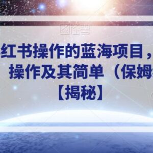 小红书可操作蓝海虚拟资源项目 单人低门槛日入过千实操教程-雨叶虚拟资源网