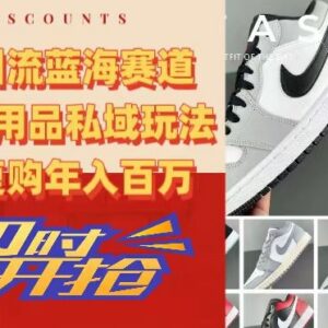 AJ运动用品私域被动引流玩法拆解 蓝海赛道低门槛年入百万攻略-雨叶虚拟资源网