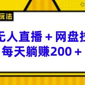 陌陌无人直播搭配网盘拉新实操玩法 低门槛增收项目操作指南-雨叶虚拟资源网