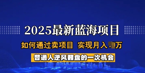 2025蓝海卖项目实操攻略 普通人月入过万全流程详细解析