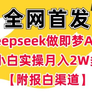 用DeepSeek做即梦AI抖音拉新 小白完整实操教程附报白渠道-雨叶虚拟资源网