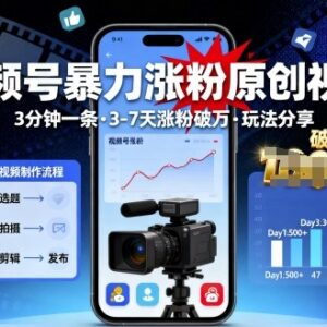视频号快速涨粉实操方法 3分钟做原创视频3-7天破万玩法分享-雨叶虚拟资源网