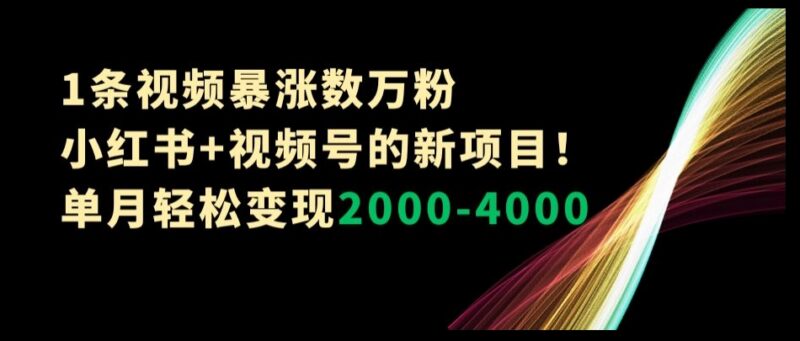 小红书+视频号全新变现项目解析 单条视频涨粉数万单月赚数千元