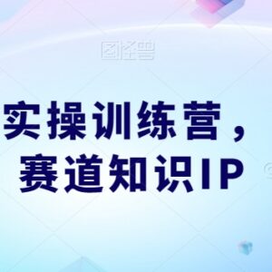 知识IP实操训练营全流程 多赛道知识IP从定位到变现孵化指南-雨叶虚拟资源网
