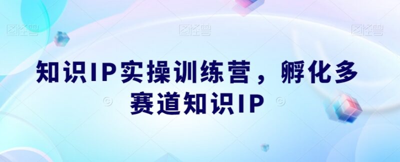 知识IP实操训练营全流程 多赛道知识IP从定位到变现孵化指南