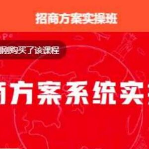 招商方案系统实操班教程 全链路招商搭建运营技巧学习-雨叶虚拟资源网