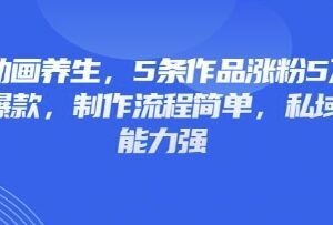 3D动画养生赛道实操玩法 制作简单低竞争涨粉快私域变现能力强-雨叶虚拟资源网