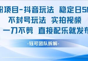 男粉项目抖音实操玩法 实拍不剪直接配乐发布稳定收益不封号-雨叶虚拟资源网