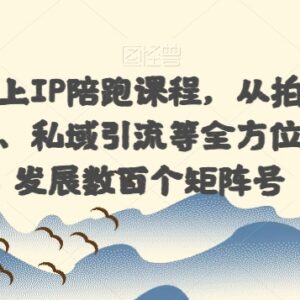 国学玄学线上IP陪跑课程 全链路运营矩阵号搭建实操教学-雨叶虚拟资源网