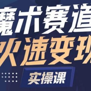 魔术赛道账号起号全流程实操 从零打造可快速变现的魔术师IP-雨叶虚拟资源网