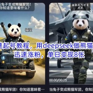 Deepseek制作熊猫军团账号教程 快速起号涨粉及变现实操指南-雨叶虚拟资源网