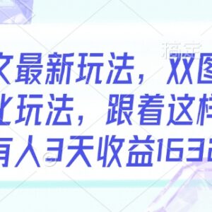 小说推文双图文新玩法解析 抓年轻粉高转化3天收益超千元-雨叶虚拟资源网