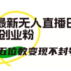 2024抖音无人直播引流创业粉 防封号高变现实操玩法教程-雨叶虚拟资源网