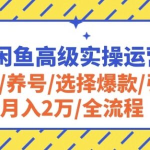 2024闲鱼高级实操运营全教程 涵盖开店养号选品引流全流程-雨叶虚拟资源网