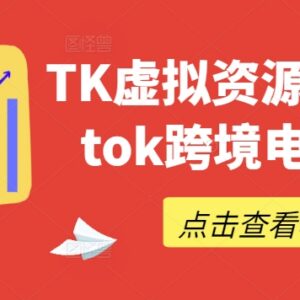 2024TikTok跨境电商实操教程 TK虚拟资源变现全流程指南-雨叶虚拟资源网