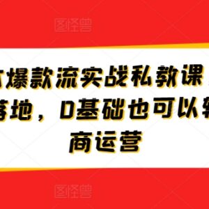淘宝低成本爆款运营实战私教课 0基础商家可快速复制落地玩法-雨叶虚拟资源网