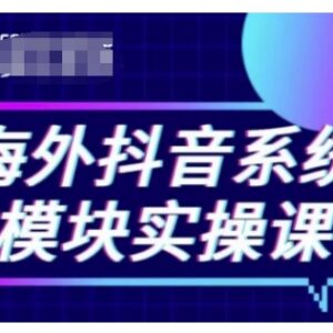 海外抖音TikTok系统实操课 覆盖短视频直播带货小店运营全流程-雨叶虚拟资源网