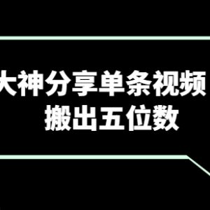 视频搬运大神实操分享:单条视频赚取五位数收益的实用技巧-雨叶虚拟资源网