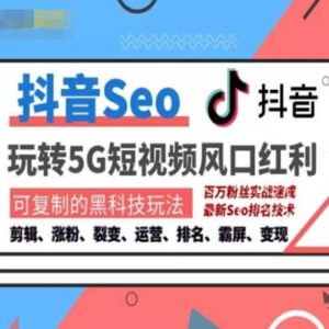 抖音SEO引流运营培训课程 掌握搜索排名技巧获取精准流量变现-雨叶虚拟资源网