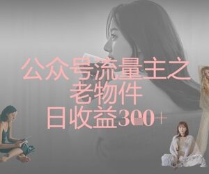 公众号流量主老物件赛道运营教程 新手可实现日收益300+-雨叶虚拟资源网