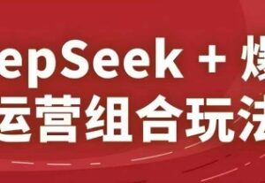 2025淘系精品课:DeepSeek+爆品运营组合玩法实操教学-雨叶虚拟资源网