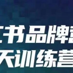 小红书品牌60天训练营第6期 系统掌握内容营销底层逻辑全流程玩法-雨叶虚拟资源网