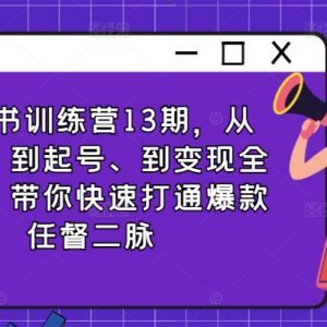 2024小红书训练营13期 从定位起号到变现全路径实操教程-雨叶虚拟资源网