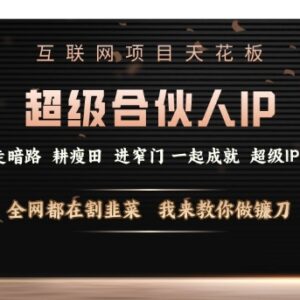 2025超级合伙人IP打造项目揭秘 知识付费创业核心技能玩法解析-雨叶虚拟资源网