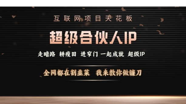 2025超级合伙人IP打造项目揭秘 知识付费创业核心技能玩法解析