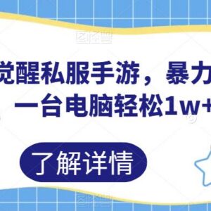 口袋觉醒私服手游运营项目拆解 单台电脑月入过万实操指南-雨叶虚拟资源网