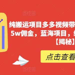 多多视频纯搬运带货实操教程 零成本无门槛小白可上手赚佣金-雨叶虚拟资源网