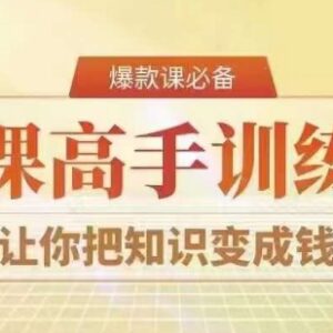 28天做课高手陪跑营 掌握可复制爆款做课系统实现知识变现-雨叶虚拟资源网
