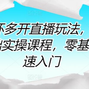 2024短循环多开直播实操课 零基础新手入门全流程教程-雨叶虚拟资源网