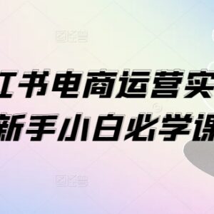 小红书电商运营1V1实操课 新手小白从0到1开店全指南-雨叶虚拟资源网