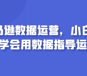 亚马逊数据运营入门攻略 小白如何学会用数据指导运营工作-雨叶虚拟资源网