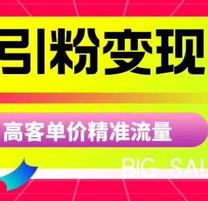 商K引粉变现项目实操玩法 高客单价精准流量获取方法揭秘-雨叶虚拟资源网