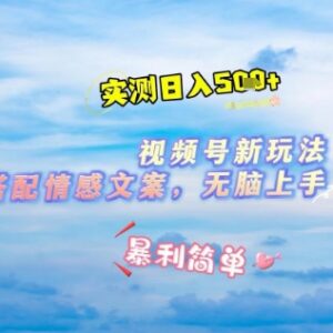 微信视频号最新变现玩法 表情包搭配情感文案零基础易上手-雨叶虚拟资源网