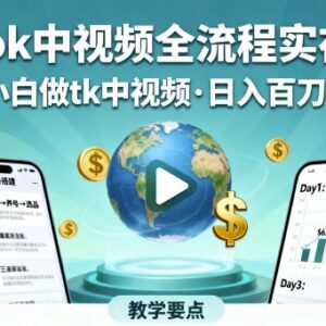 TikTok中视频全流程实操教学 小白入门运营变现方法指南-雨叶虚拟资源网