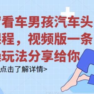 橱窗看车男孩汽车头像制作课程 全流程实操玩法详细拆解-雨叶虚拟资源网