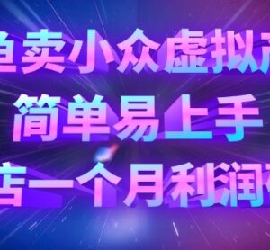 闲鱼小众虚拟产品售卖实操教程 低门槛项目单店月利可达万元-雨叶虚拟资源网
